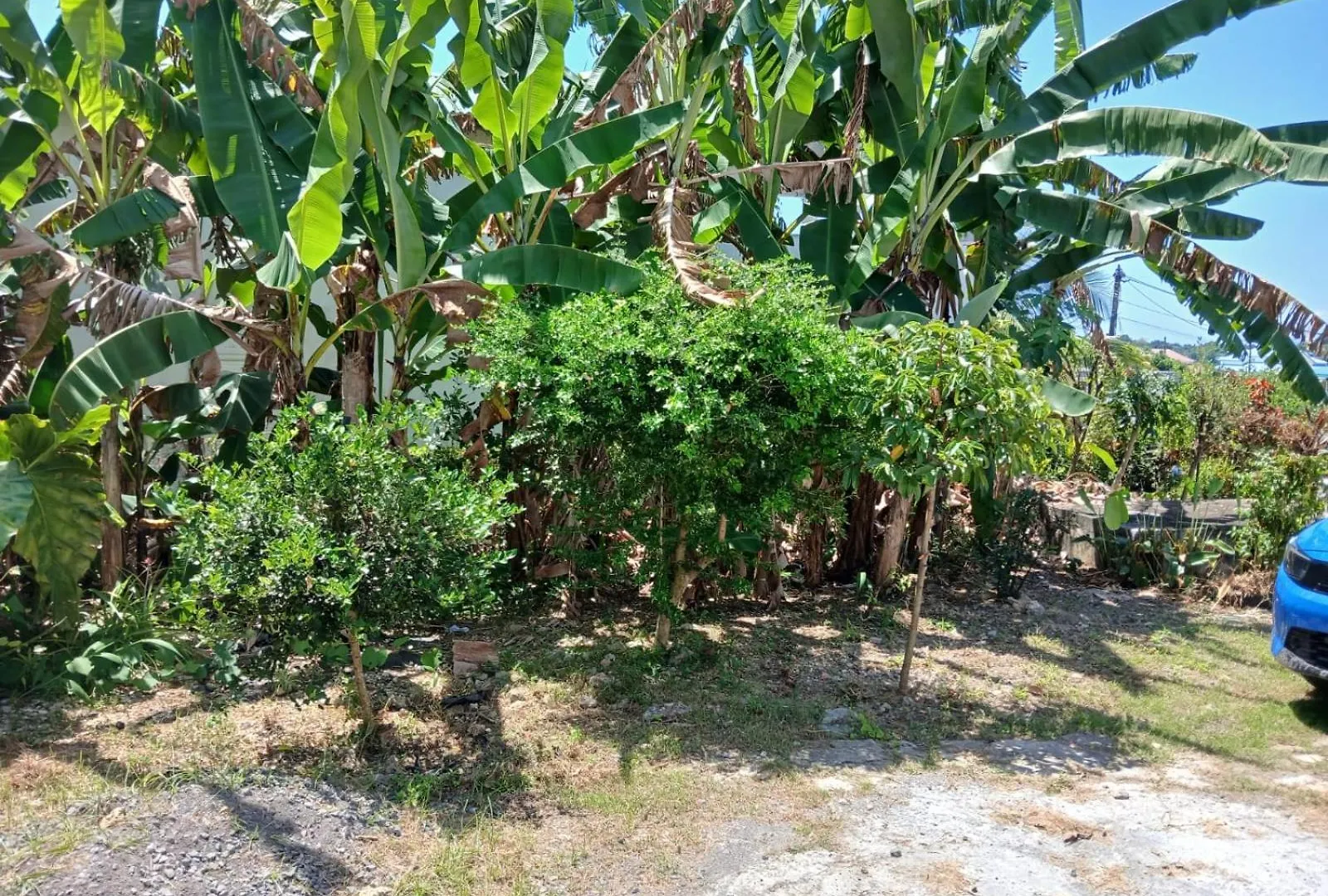 Villa Havre Des Tropiques Sainte-Anne  Guadeloupe